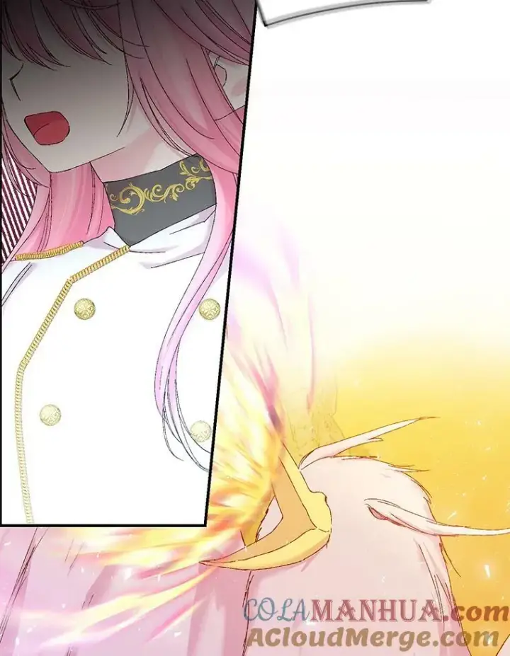 《宝贝皇后殿下》96.命运纠缠图97