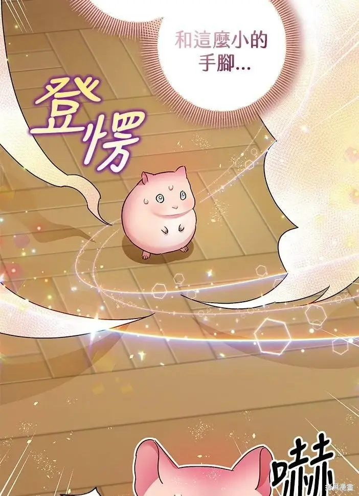 漫画《暴君的精神安定剂》第46话第74张图