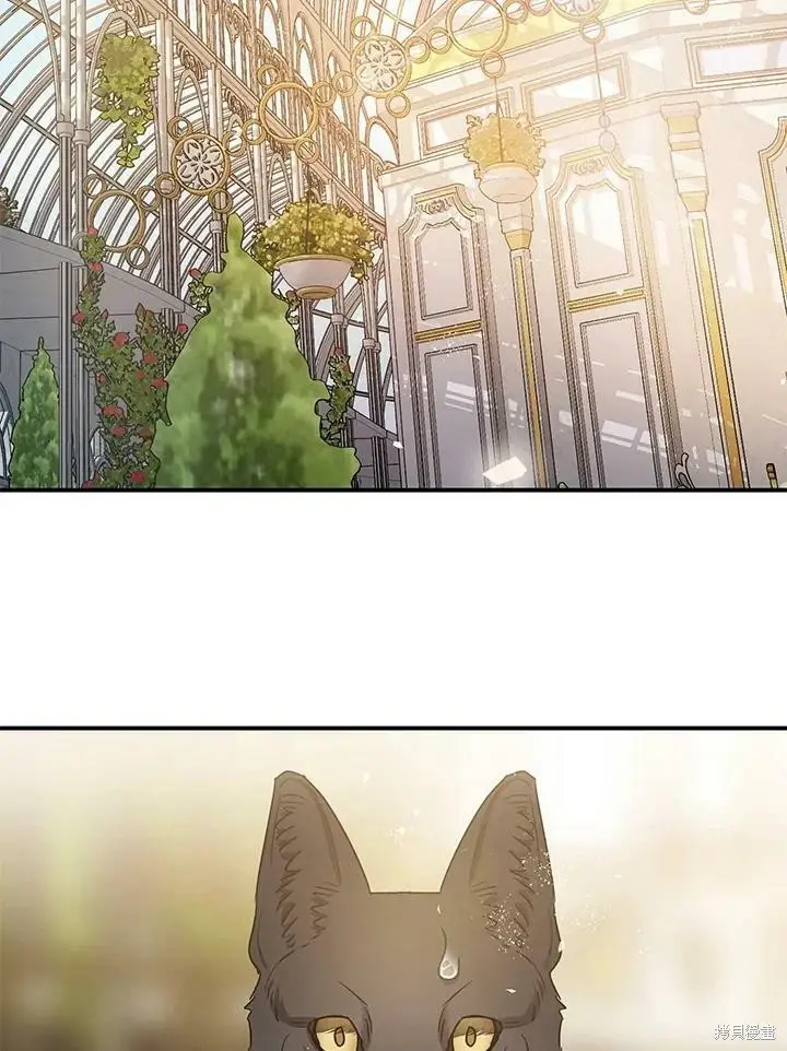 漫画《暴君的精神安定剂》第51话第122张图