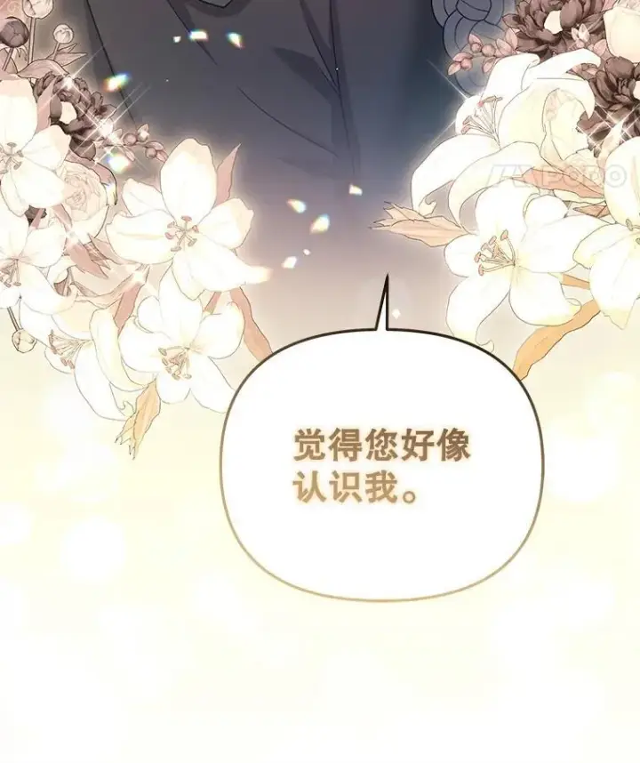 《被恶棍们抚养中》52.假冒图103