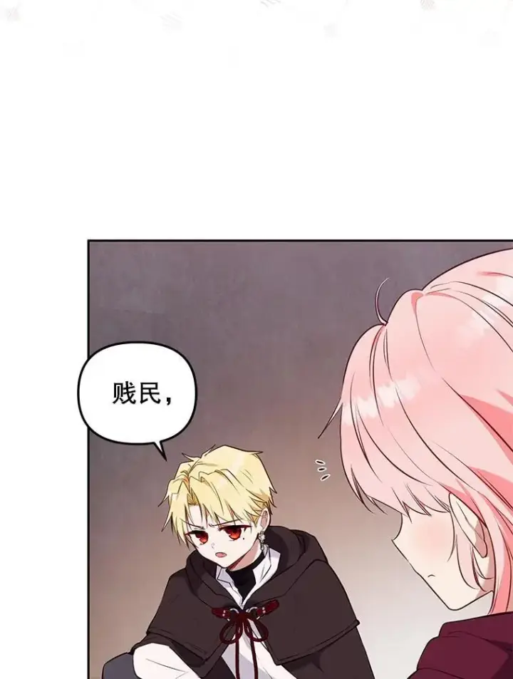 《被恶棍们抚养中》31.皇子图64