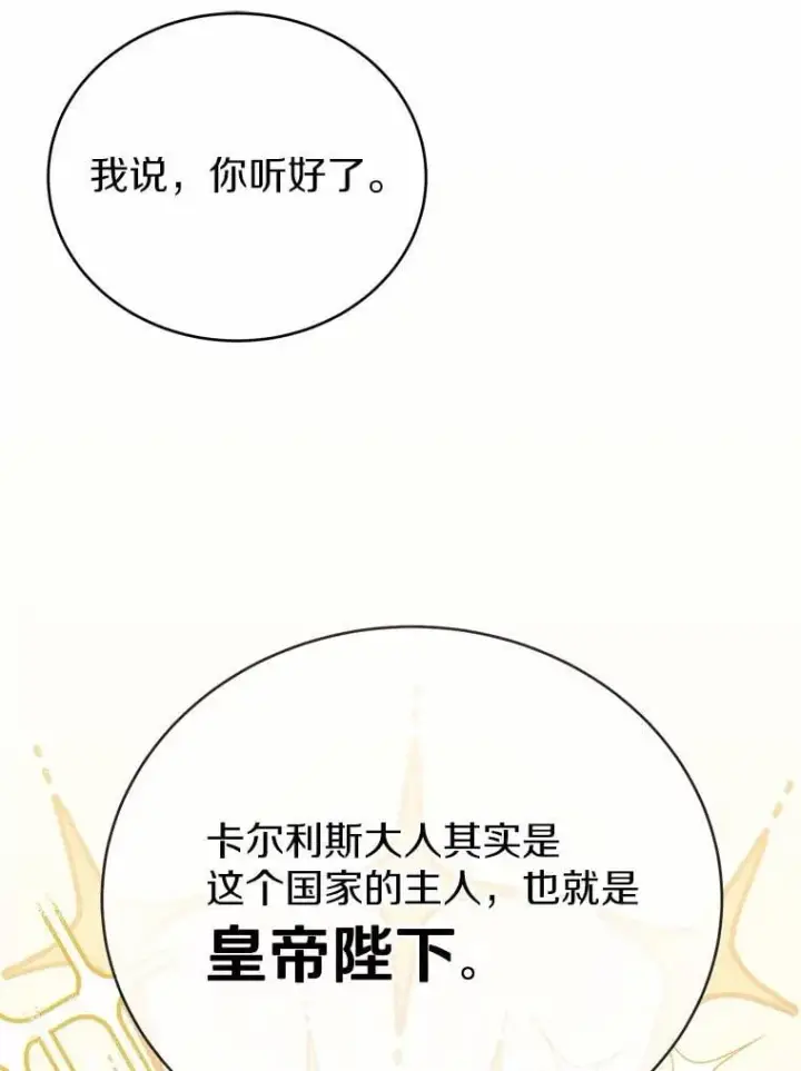 漫画《被发现就完蛋了！》44.他是皇帝？第121张图