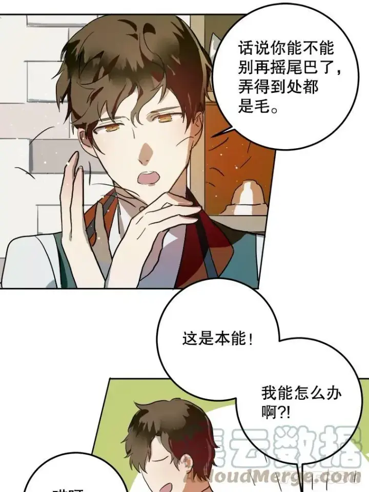 漫画《被嫌弃的私生女》6.安蒂克出丑第31张图