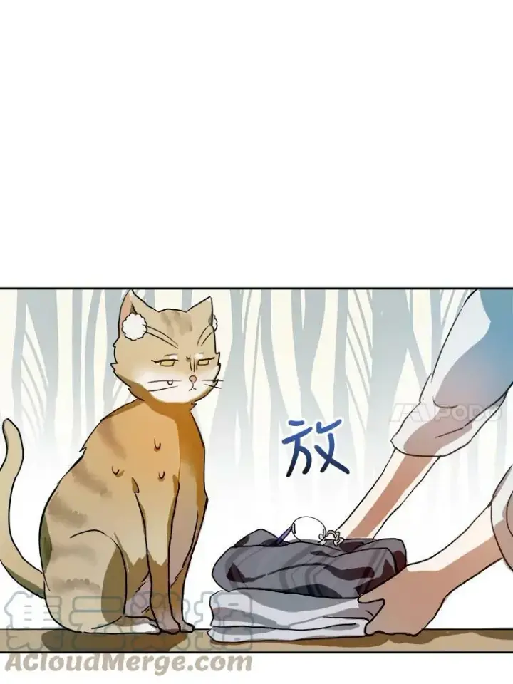 漫画《被嫌弃的私生女》6.安蒂克出丑第40张图