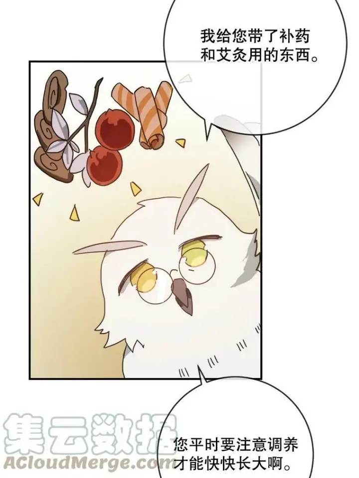 漫画《被嫌弃的私生女》28.对伊德尔的误会第70张图