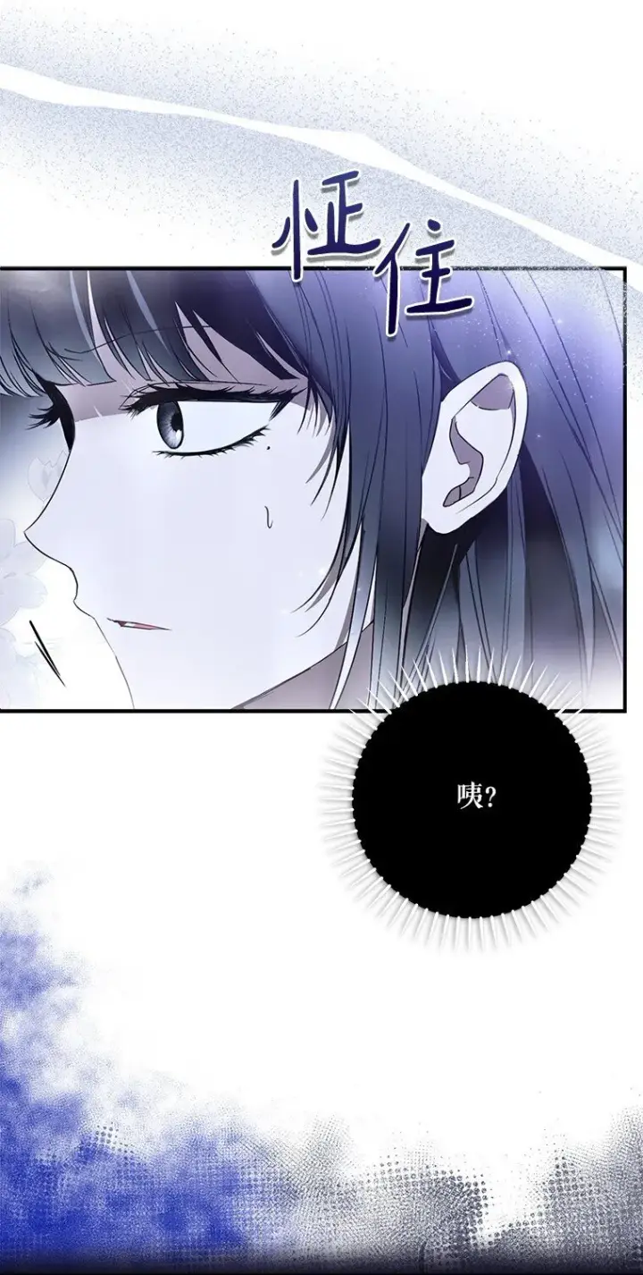 《被占用的身体》41. 斥诸理性图59