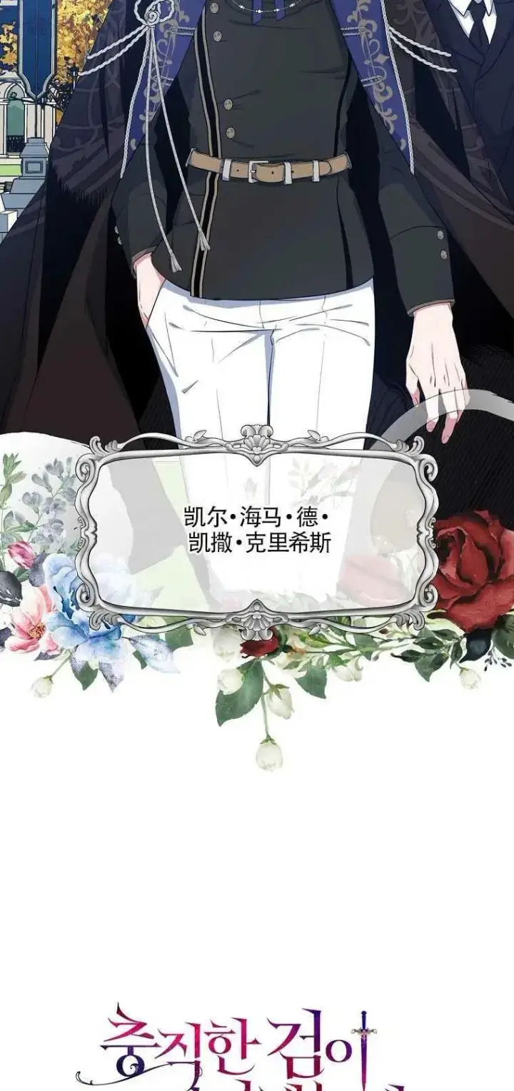 漫画《护爱之剑》第12话第9张图