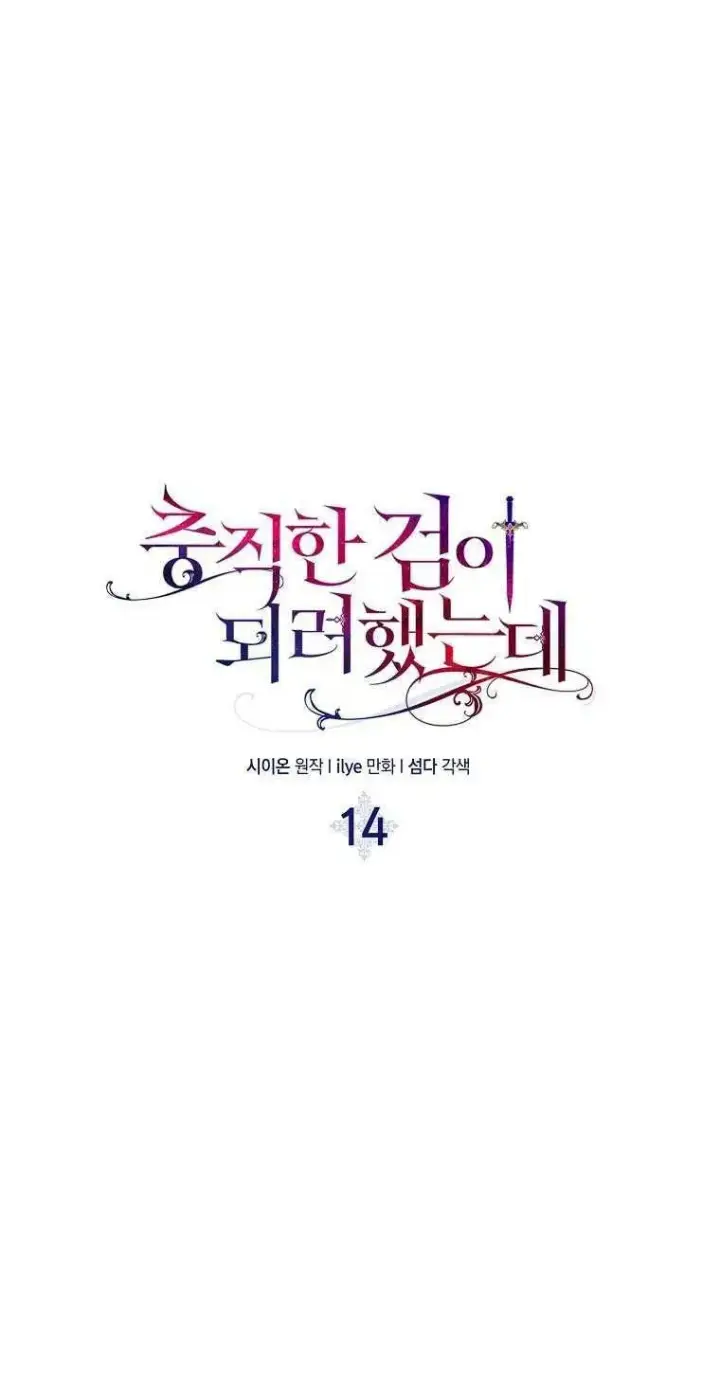 《护爱之剑》第14话图5
