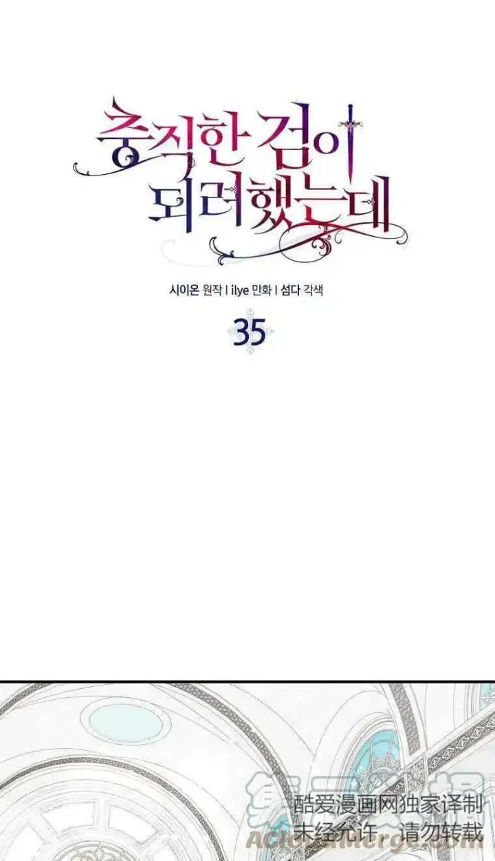 漫画《护爱之剑》第35话第31张图