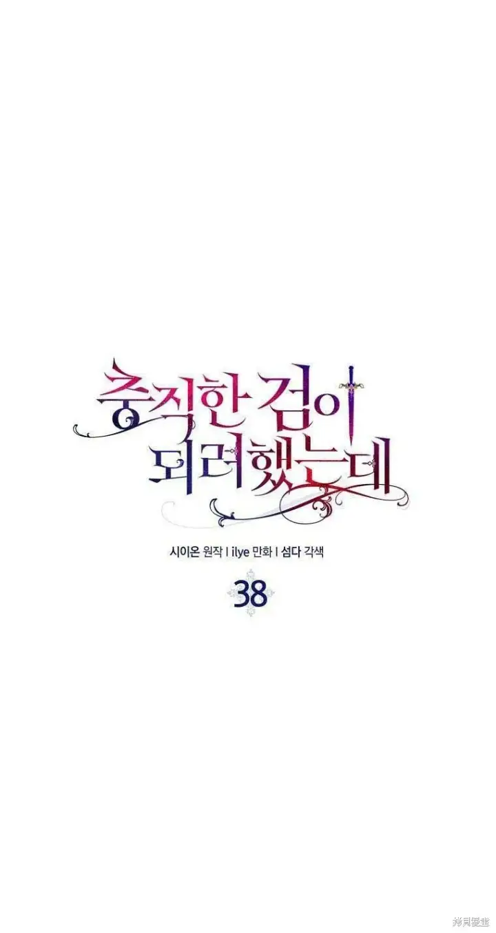 《护爱之剑》第38话图7
