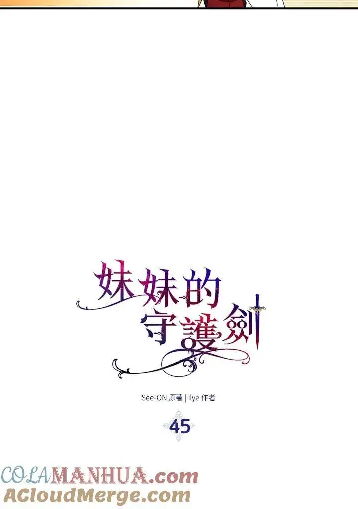 《护爱之剑》第45话图19