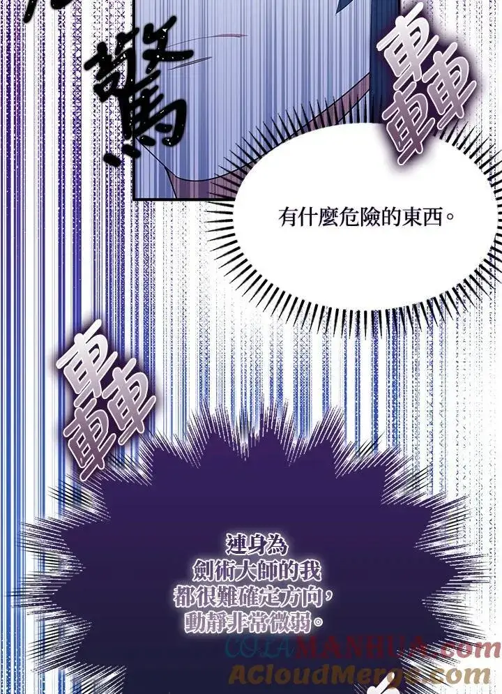 漫画《护爱之剑》第56话第91张图