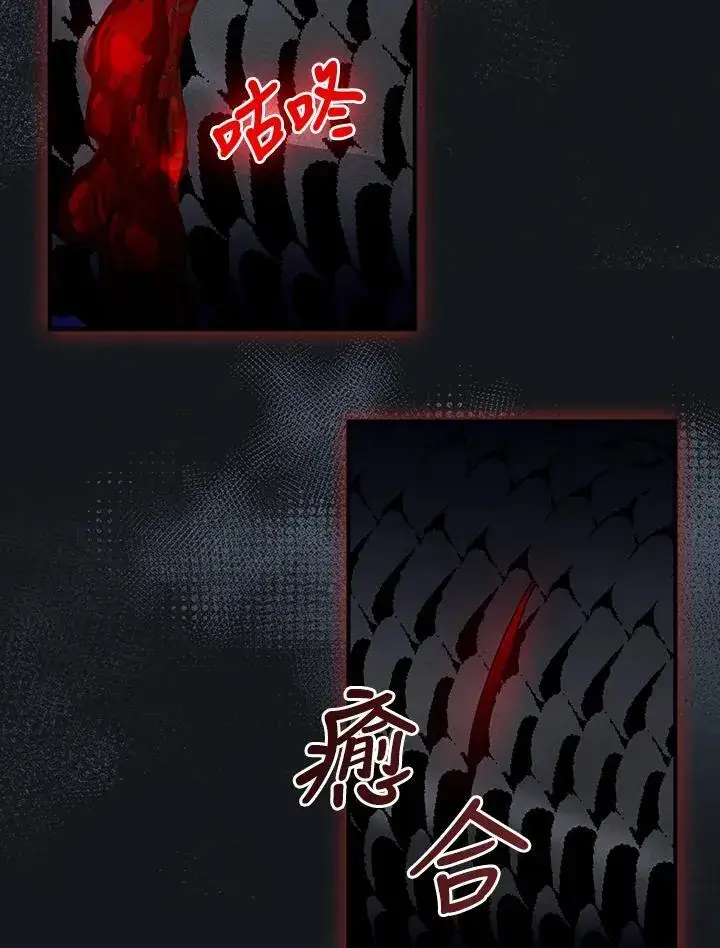 《护爱之剑》第61话图52