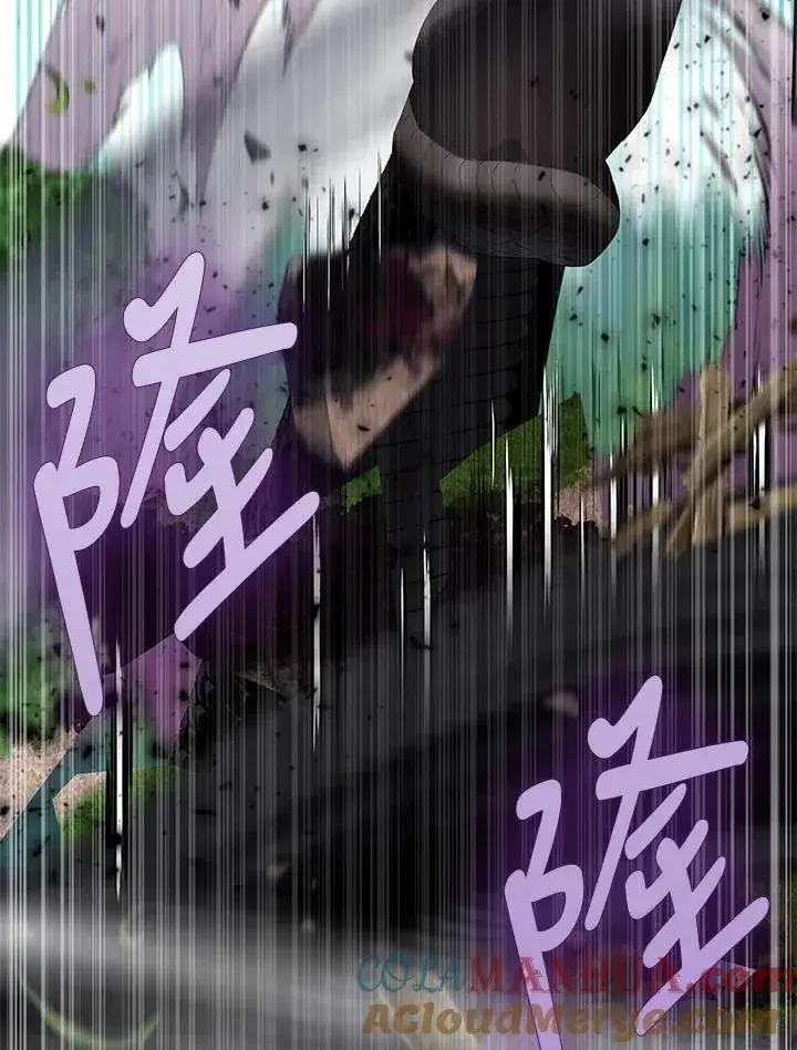 《护爱之剑》第61话图57
