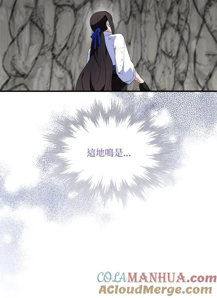 漫画《护爱之剑》第63话第101张图
