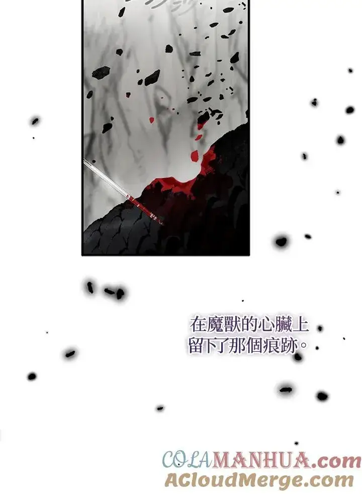 漫画《护爱之剑》第64话第101张图