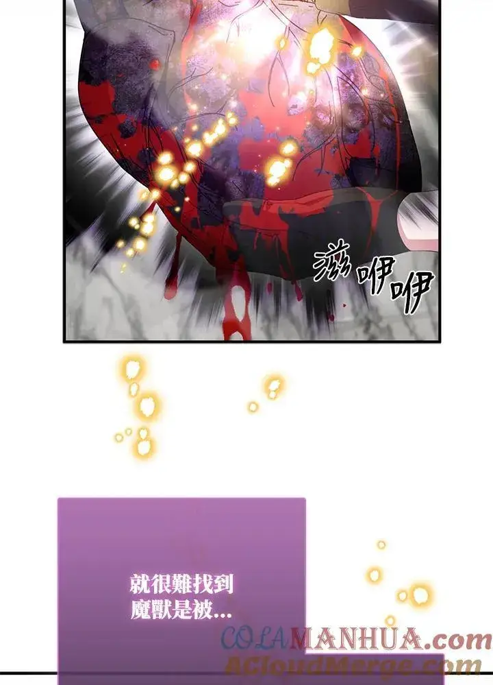 漫画《护爱之剑》第64话第105张图