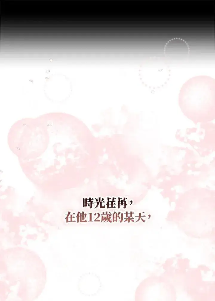 漫画《护爱之剑》第64话第28张图