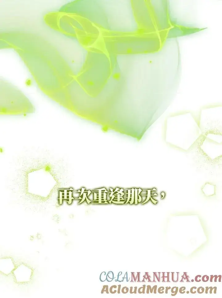 漫画《护爱之剑》第65话第17张图