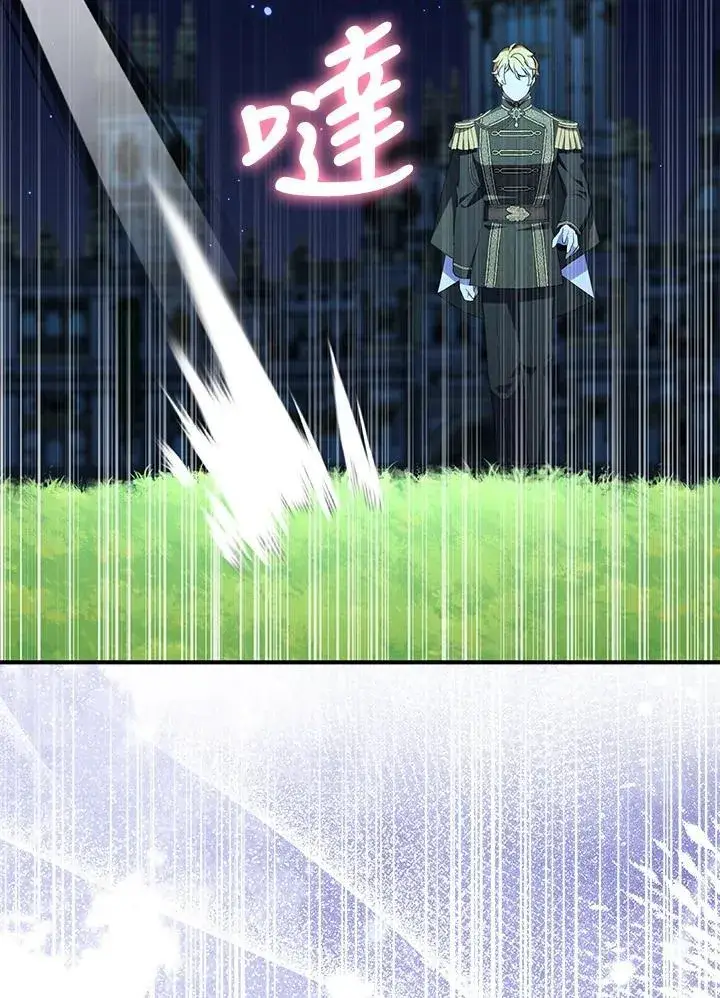 漫画《护爱之剑》第71话第80张图