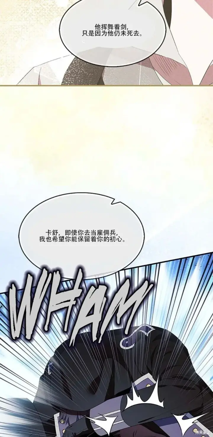 《护爱之剑》第74话图41