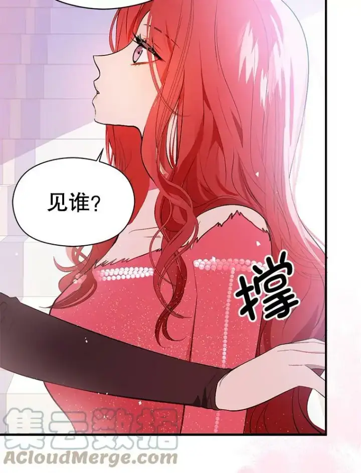 漫画《并不是想引诱男主》42.沃夫宝石第49张图