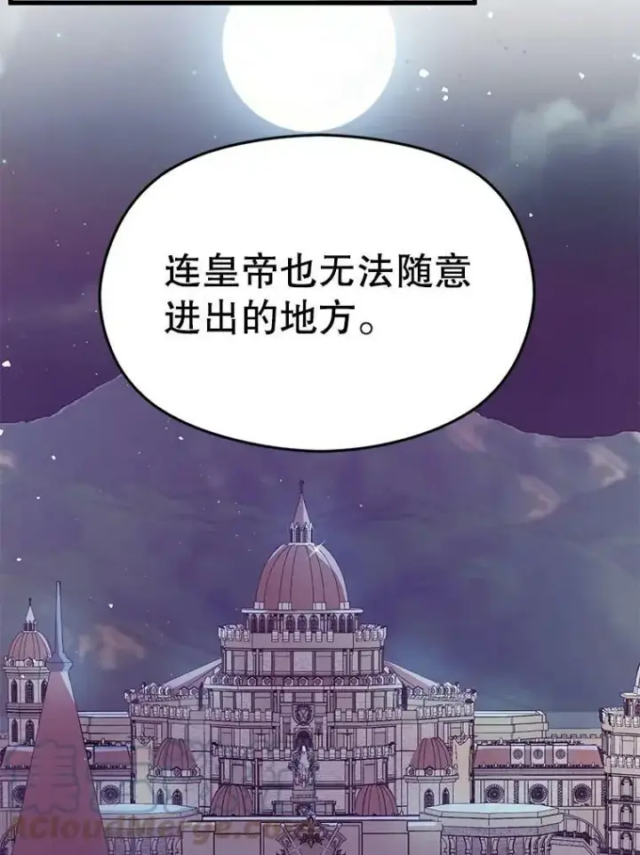 漫画《并不是想引诱男主》43.皇帝的命令第21张图