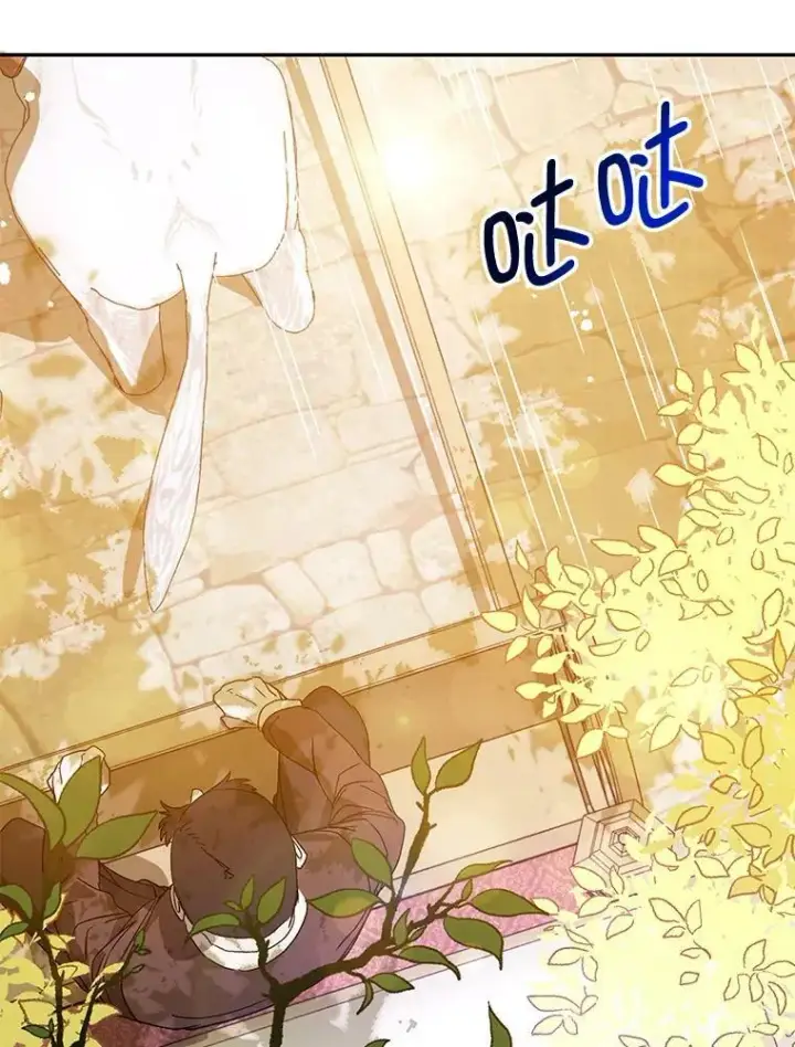 漫画《并不是想引诱男主》5.验证理论第74张图