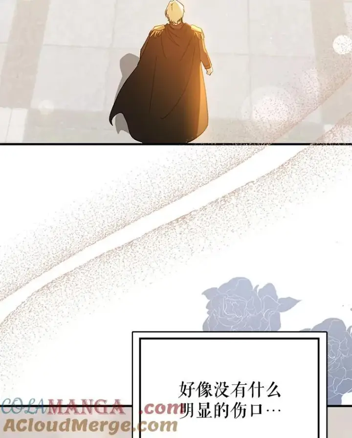 漫画《并不是想引诱男主》94.利安见到公主第77张图
