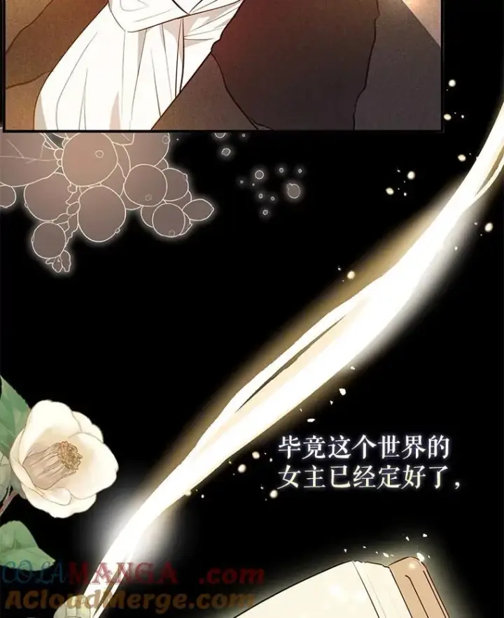 漫画《并不是想引诱男主》101.成为皇后？第69张图