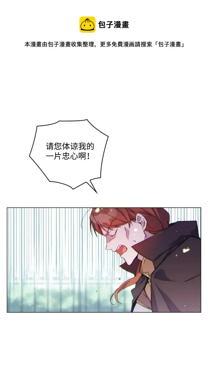 《陛下，这一生我会好好培养你！》11 皇妃与骑士的决斗图17