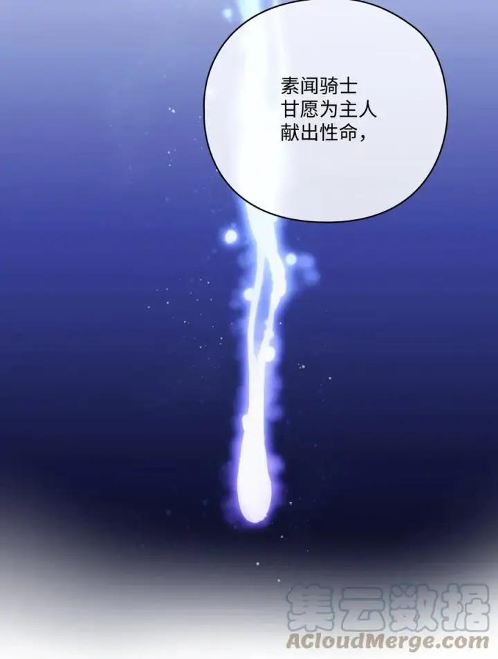 《陛下，这一生我会好好培养你！》11 皇妃与骑士的决斗图28
