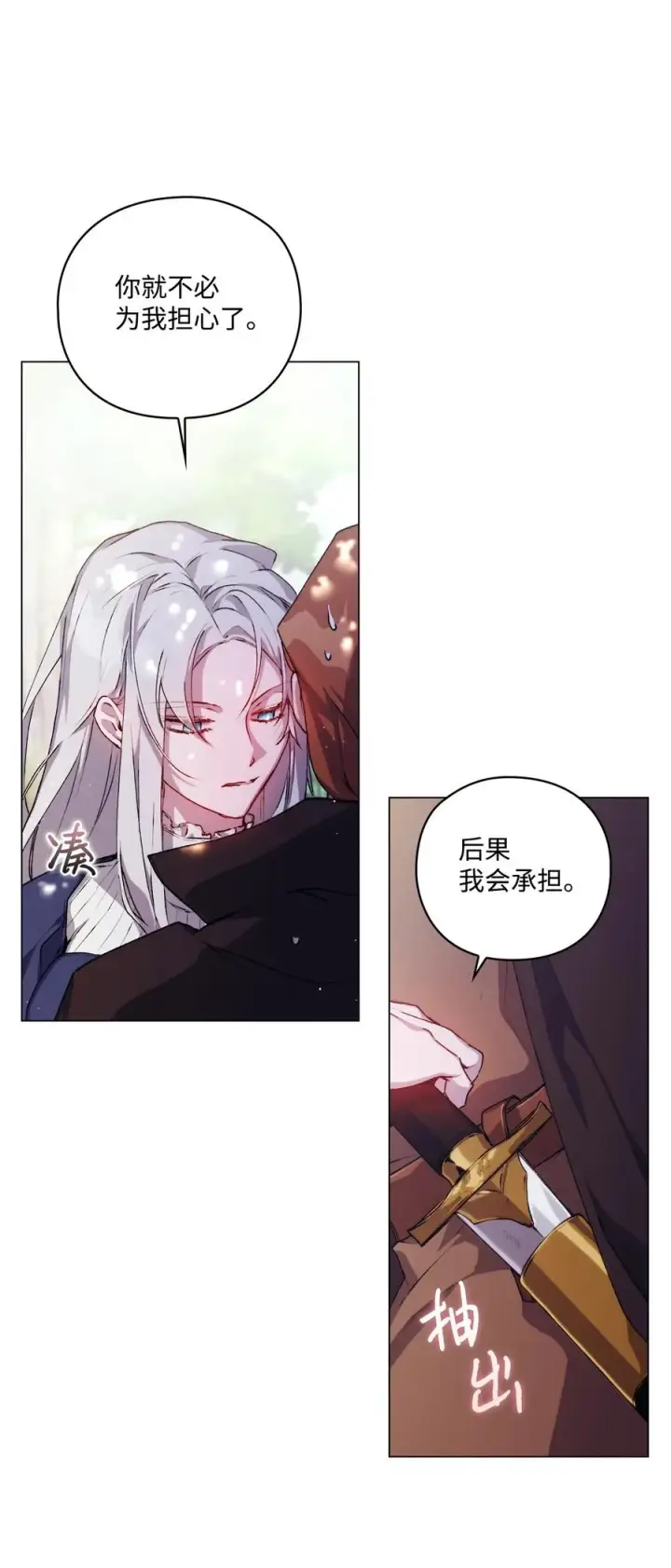 《陛下，这一生我会好好培养你！》11 皇妃与骑士的决斗图47