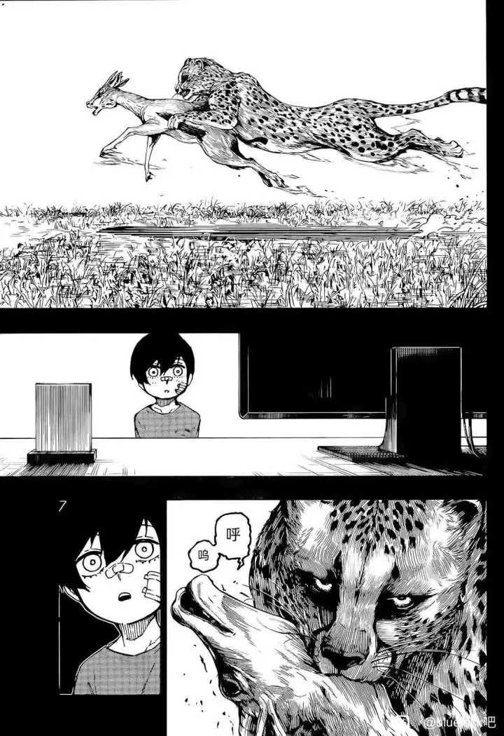 《蓝色监狱 BLUE LOCK》第271话图9