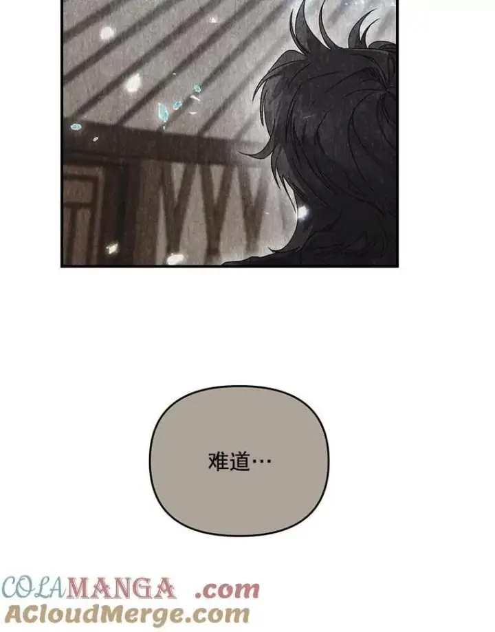 漫画《伯爵孤女的重生》127.魔法的由来第49张图