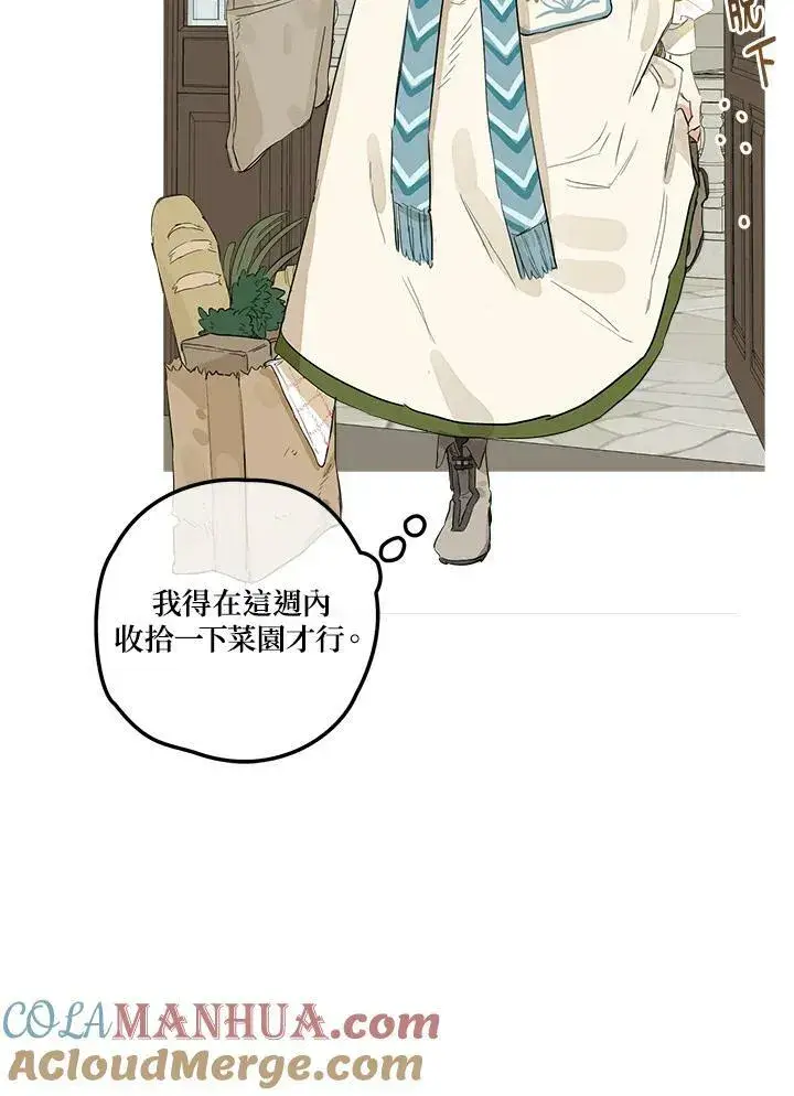漫画《伯爵家私生女的婚后生活》第3话第46张图