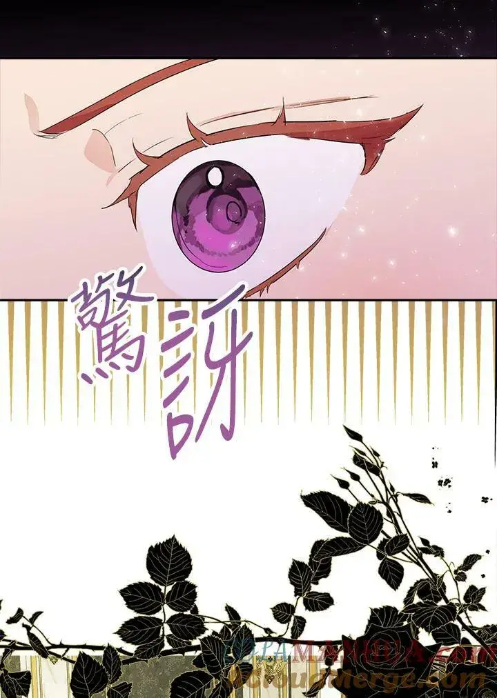 漫画《伯爵家私生女的婚后生活》第48话第29张图