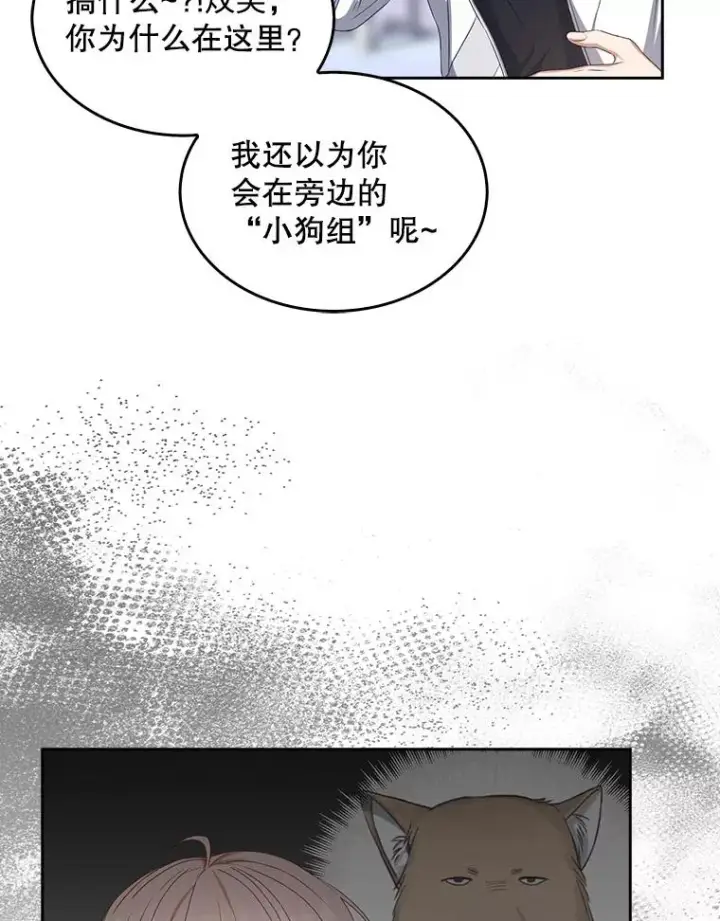 《不出道就完蛋了》39.小兔组来也图26