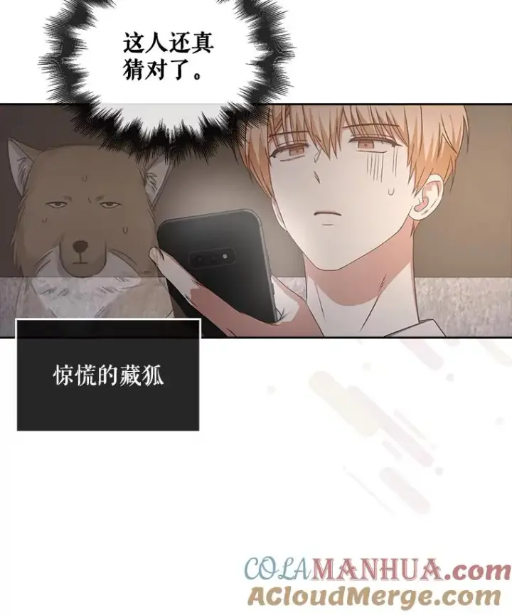 《不出道就完蛋了》49.哈士奇组的危机图93