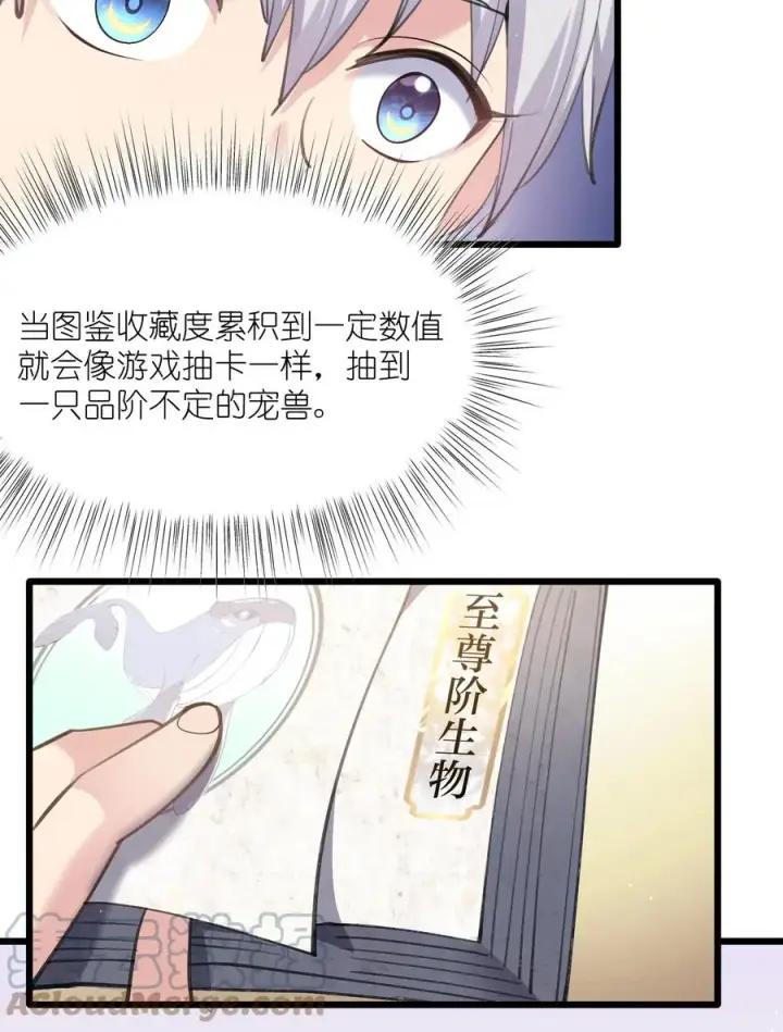 《长的太像BOSS，结果世人真的信了》01 逼王原来是菜鸡？！图37