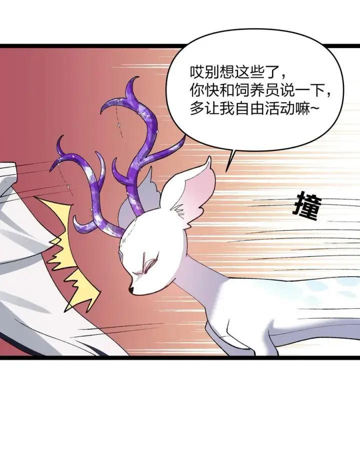 漫画《长的太像BOSS，结果世人真的信了》22 月神祭开端第29张图