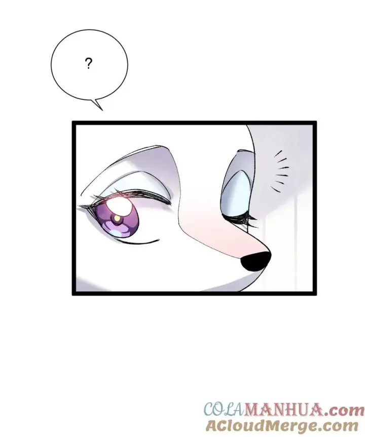 漫画《长的太像BOSS，结果世人真的信了》22 月神祭开端第31张图