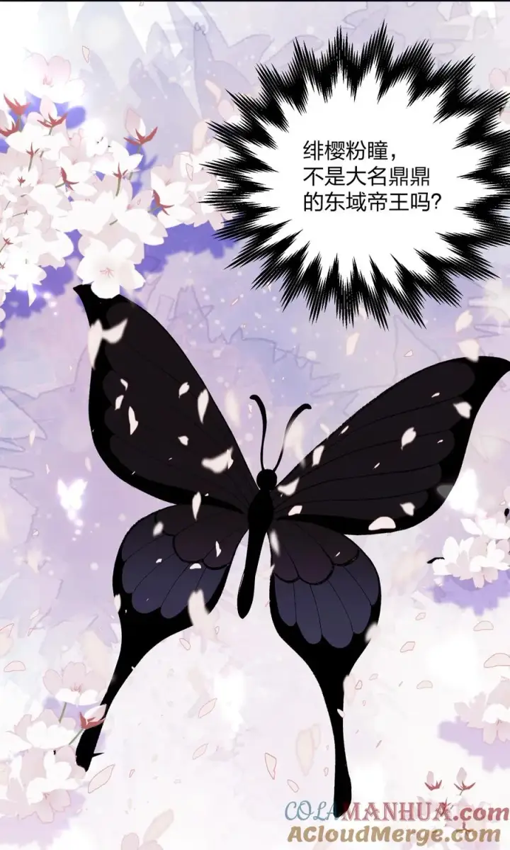 漫画《长的太像BOSS，结果世人真的信了》27 宠兽食量大挑战？！第25张图
