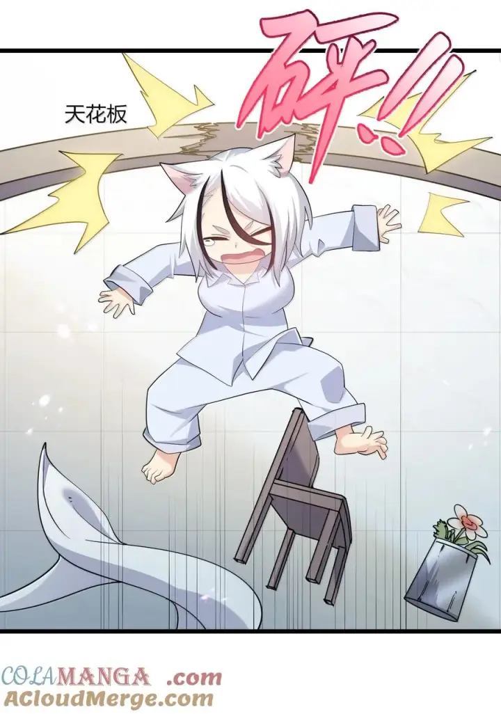 漫画《长的太像BOSS，结果世人真的信了》87 登顶！奖励！第43张图