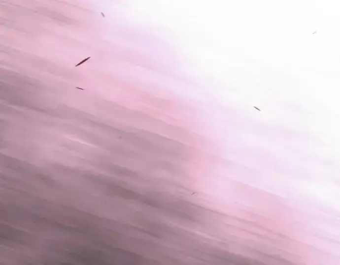 《超人的时代》第二季 第148话图167