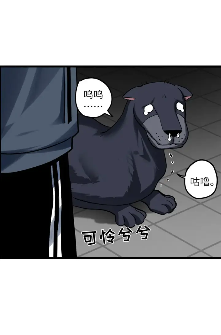 《超神宠兽店》02 雷霆云海界！图13