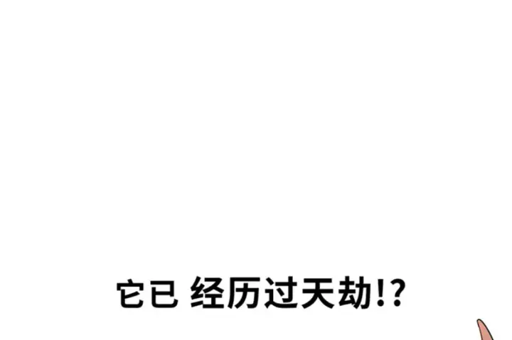 漫画《超神宠兽店》111 全力以赴第59张图