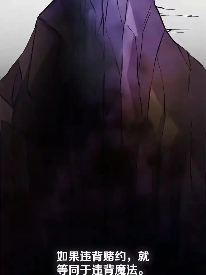 《超越回归的大魔导师》10.赌局图97