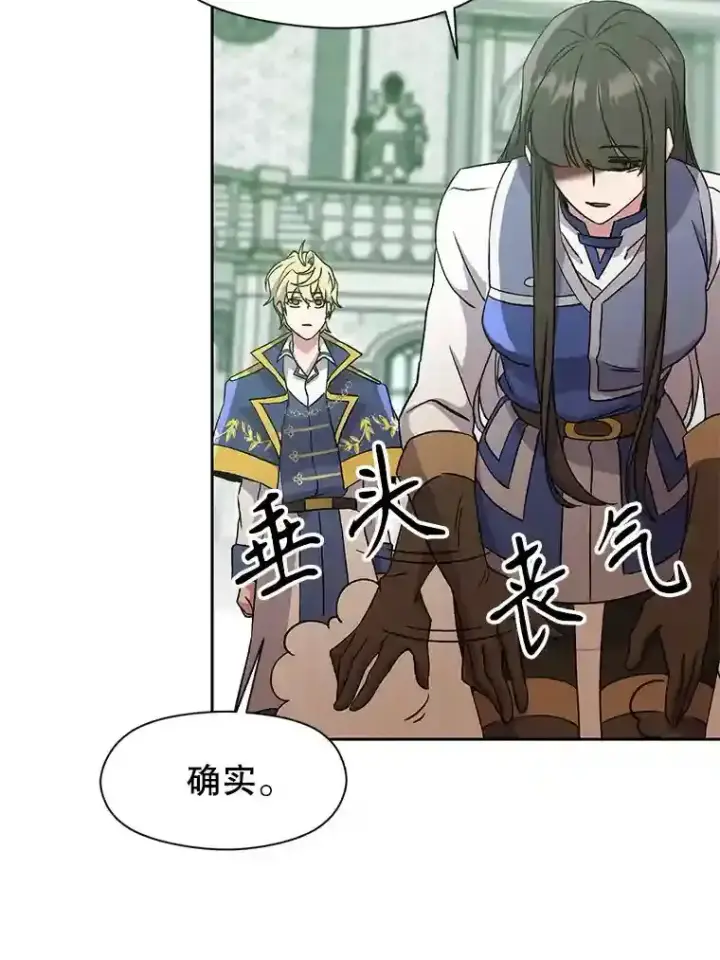 《超越回归的大魔导师》24.艾琳的到访图101