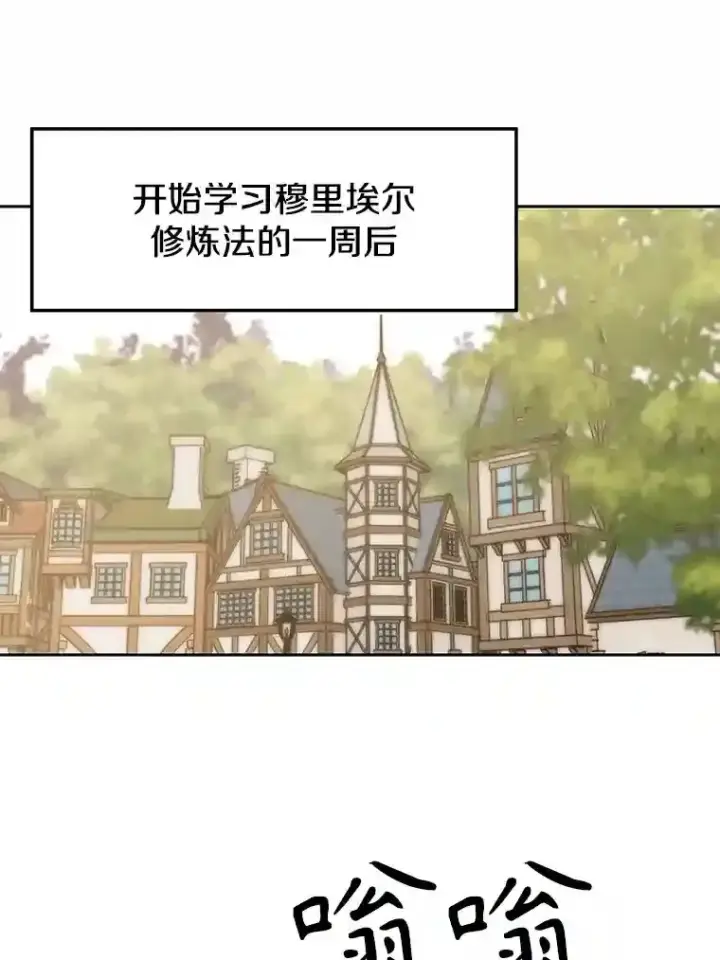 《超越回归的大魔导师》24.艾琳的到访图3